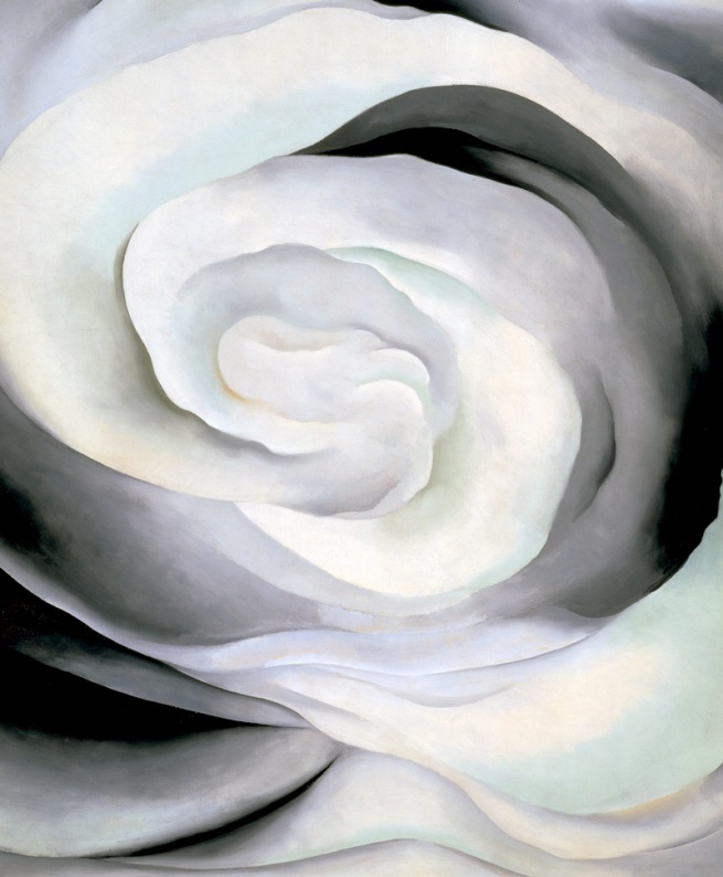 georgia-okeefe-abstraction-white-rose-1927